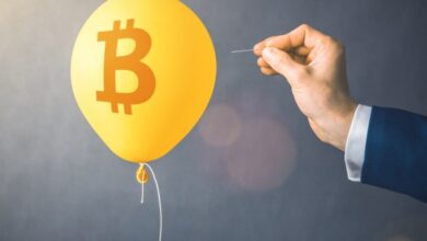 retail-investors-lose-$17-billion-to-bitcoin-treasury-hype:-report