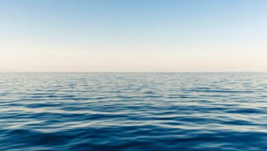 opensea-plans-to-launch-sea-token-by-q1-2026-–-details
