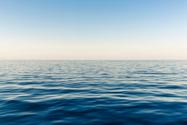 opensea-plans-to-launch-sea-token-by-q1-2026-–-details