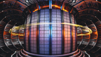 new-prediction-model-could-improve-the-reliability-of-fusion-power-plants